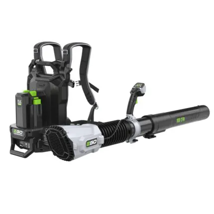 Akulehepuhur EGO LBP8000E 56V