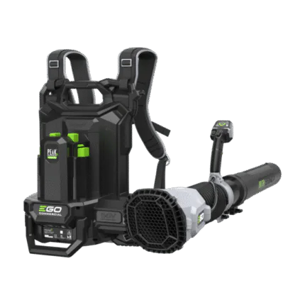 Akulehepuhur EGO LBP8000E 56V