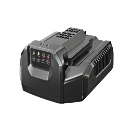 EGO Power+ 210W Standardlaadija